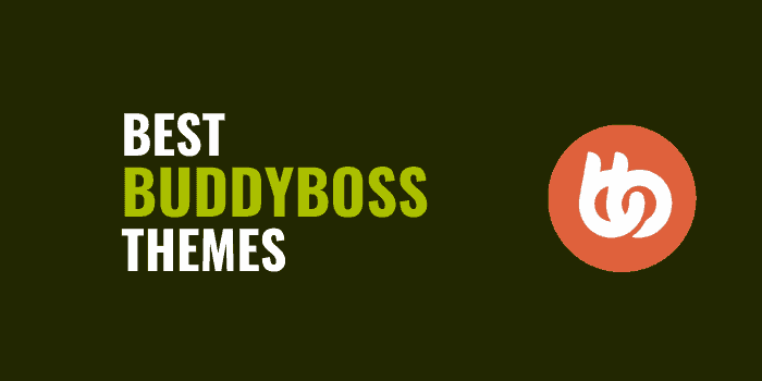 best buddyboss themes